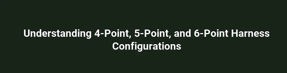 Understanding 4-Point, 5-Point, and 6-Point Harness Configurations