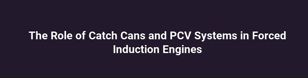 The Role of Catch Cans and PCV Systems in Forced Induction Engines
