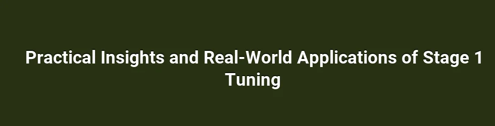 How Fuel Mapping Shapes Power and Response