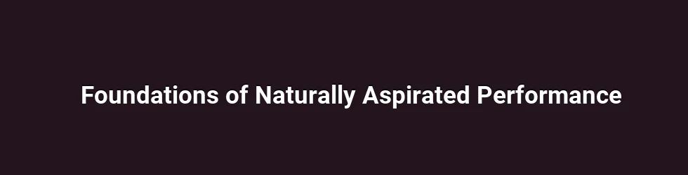 Foundations of Naturally Aspirated Performance