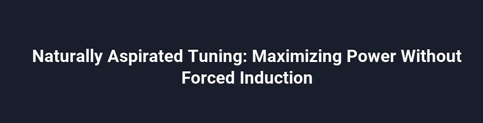 Naturally Aspirated Tuning: Maximizing Power Without Forced Induction