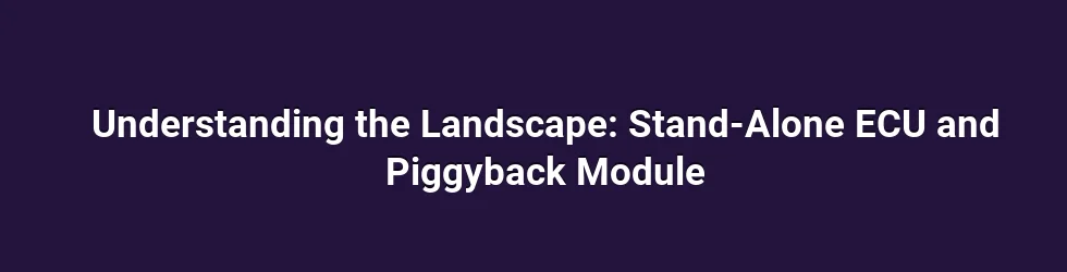 Understanding the Landscape: Stand-Alone ECU and Piggyback Module